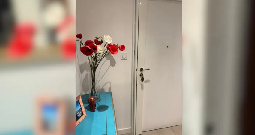 Serrure carénée en applique posée sur une porte d'entrée blanche à Colmar